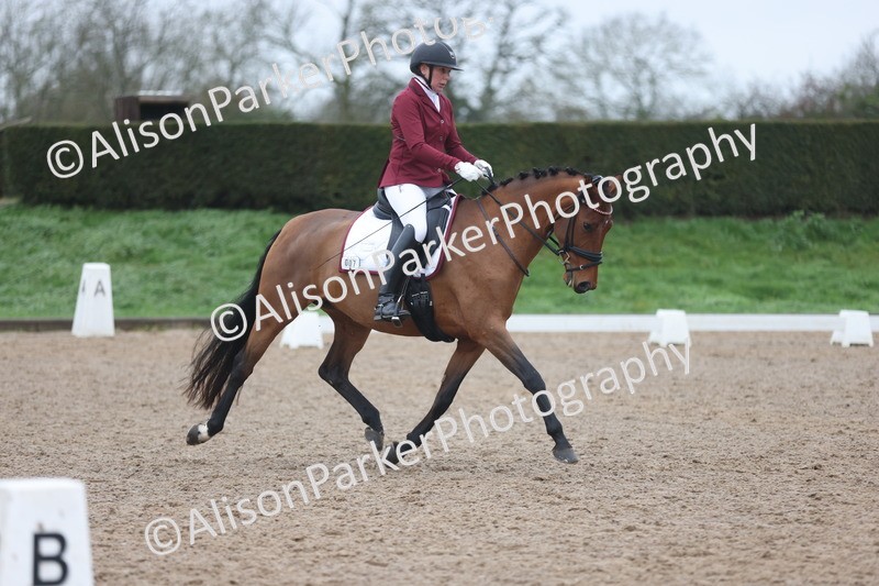 20251207-0402 - Class 3 - Novice 5