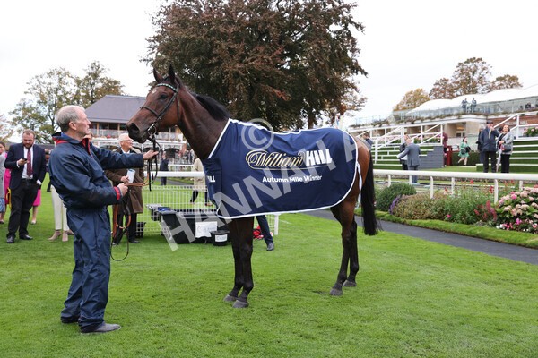 yr07102022r2-52 - Race 2 2.40pm William Hill Autumn Mile