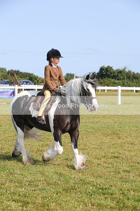 1X9A3311 - Class 28: Ridden Native/Trad Coloured Pony