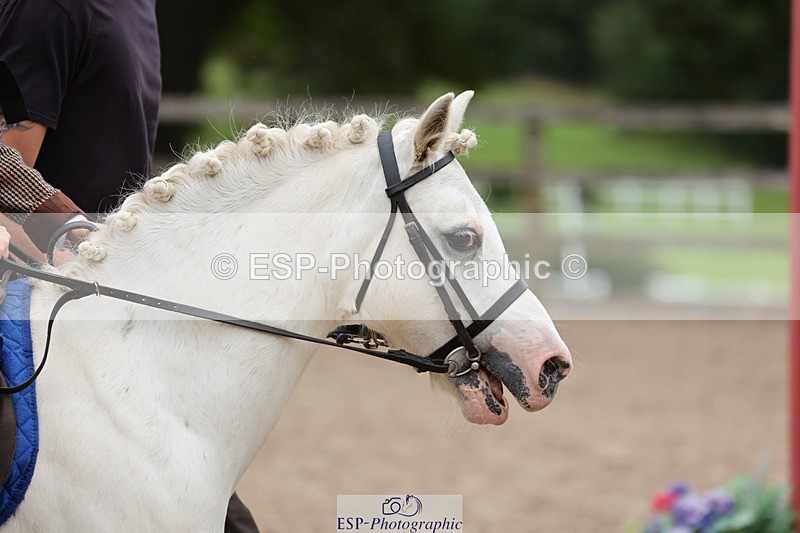 240822X-122954-06633 - 40cm LR R1 12.20 to 14.10
