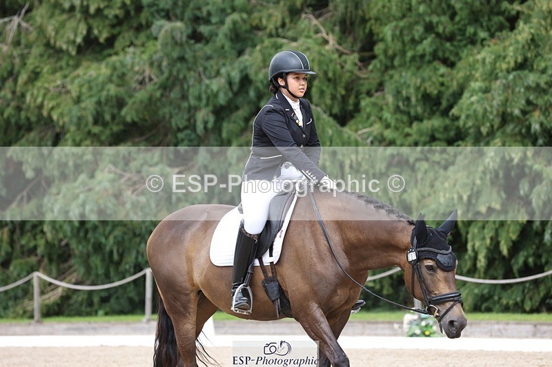 230812-143939-04472 - Cls 5 Novice Bronze 13.40 to 14.45 break