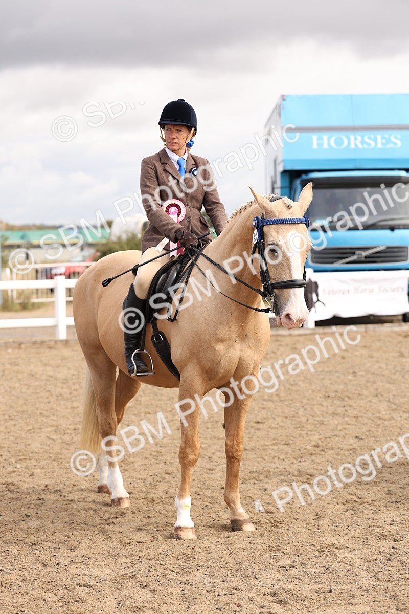 SBM_04314 - Class 54 - Riding Club Horse/Pony