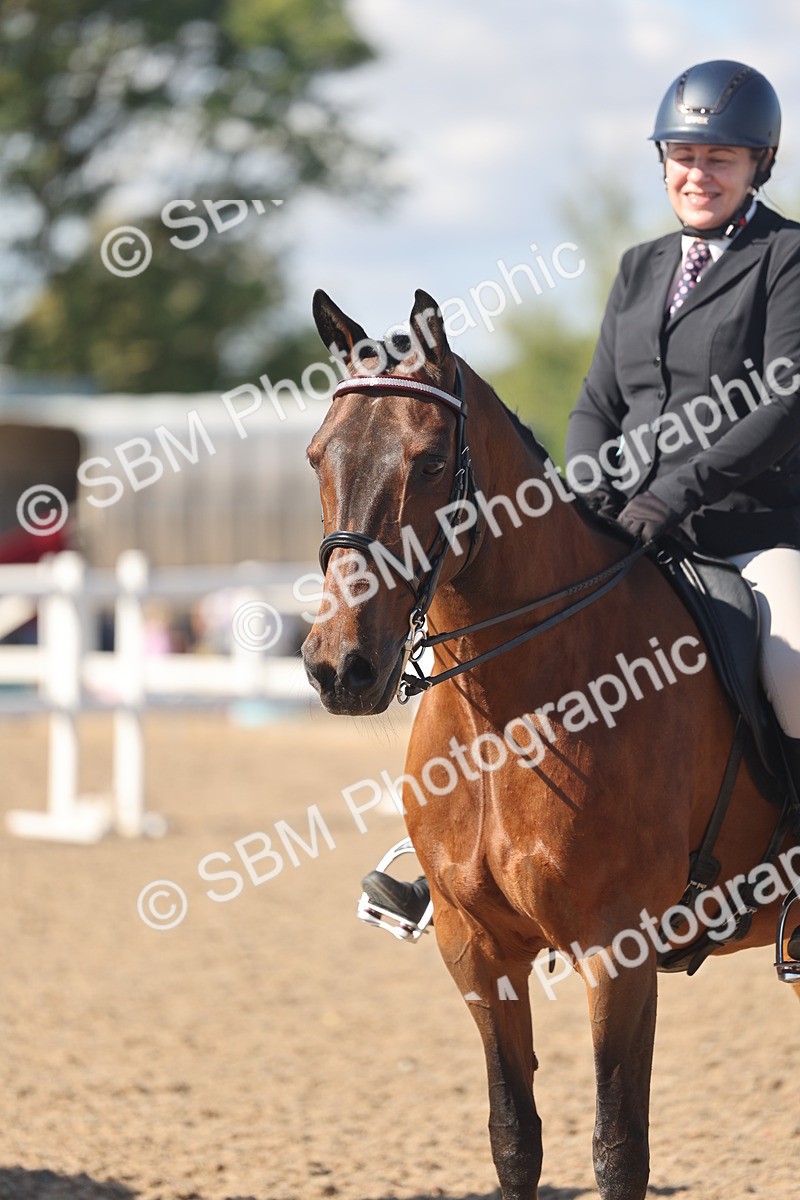 SBM_13078 - Class 305 - Ridden Foreign Breed Pure Bred