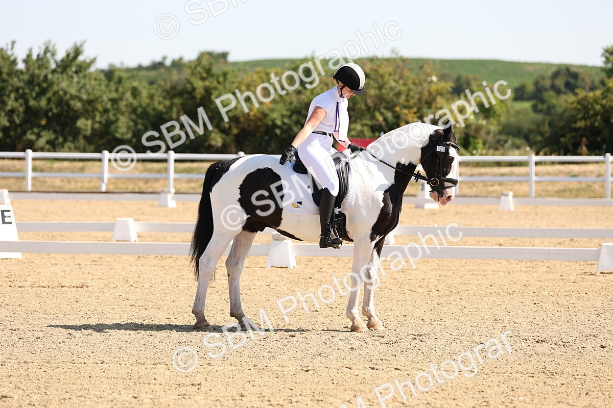 SBM_001011 - Intro 2