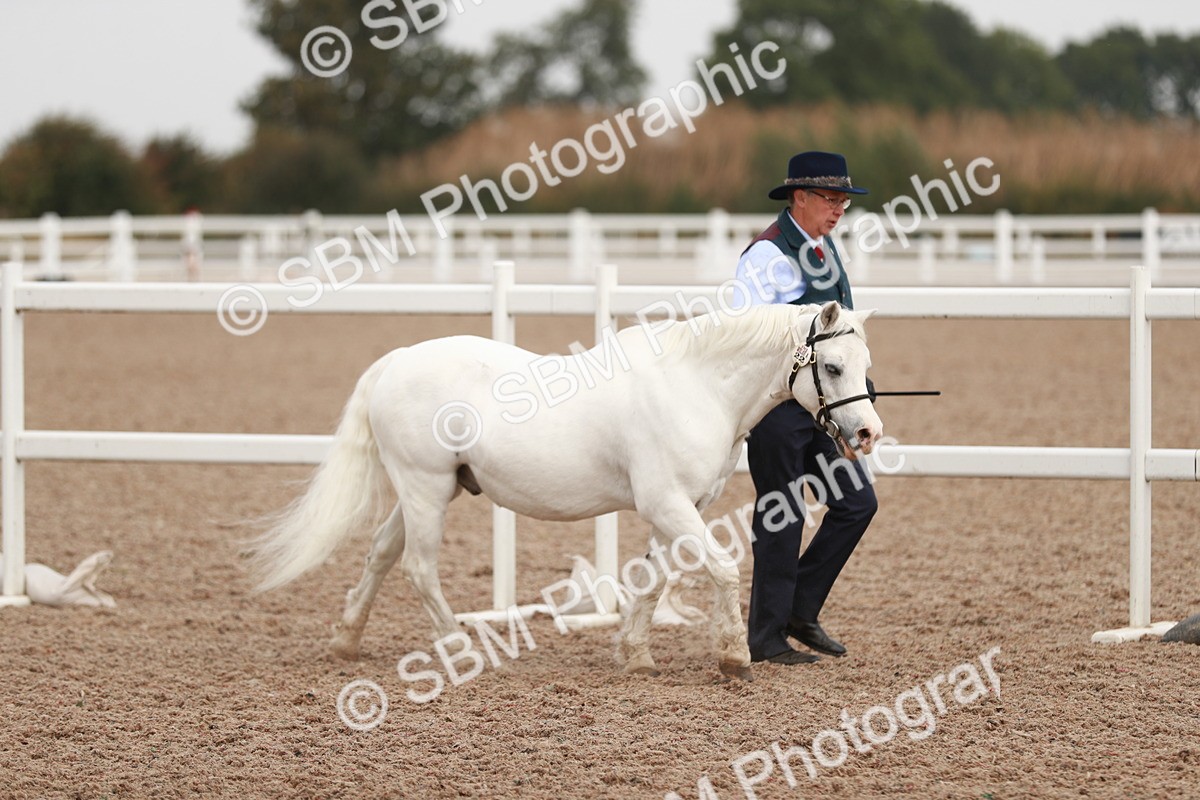 SBM_12406 - Class 207 IH M&M