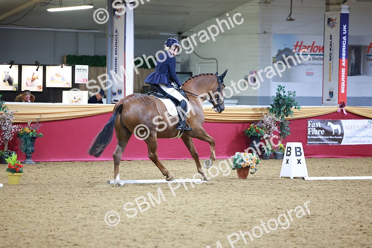 SBM_06708 - Class 61 - Dressage to Music