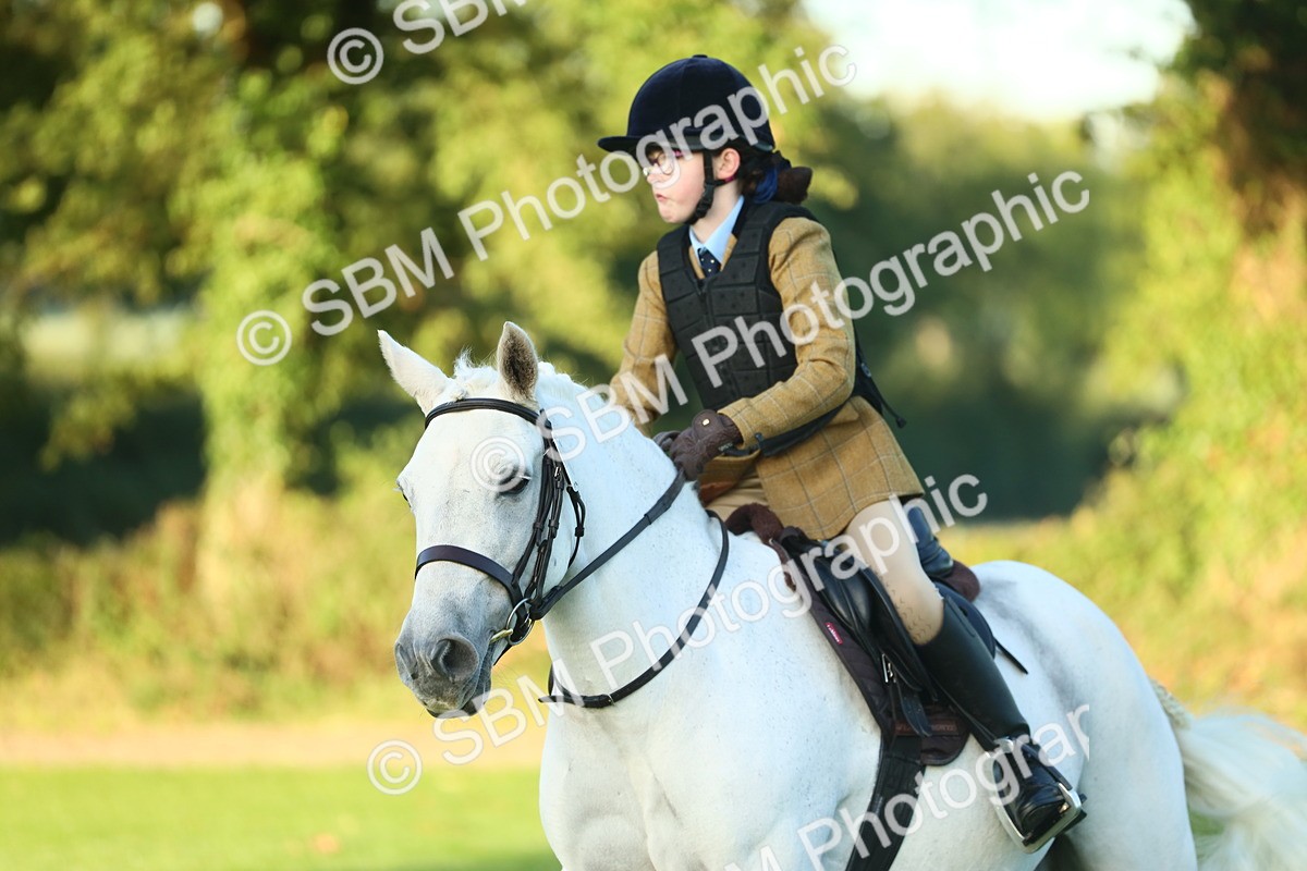 SBM_31721 - S28 - Nursery Stakes Working Hunter Pony