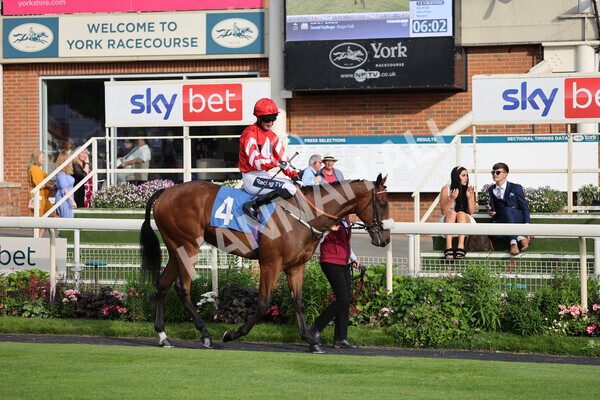 yr23072021r3-12 - Race 3 7.00pm The JKH 80th Birthday Celebration EBF Novice Median Auction Stakes (Plus 10 Race)