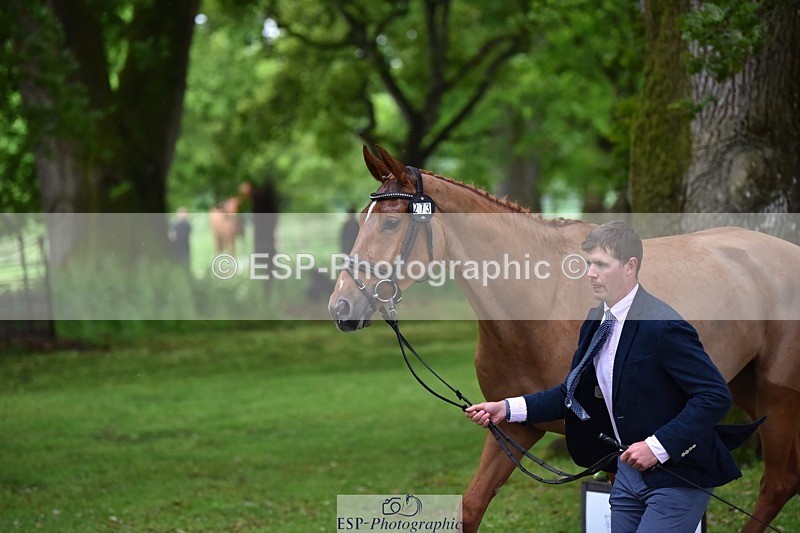 240522-162738-00928 - 273-LUSUELA-Will_Furlong