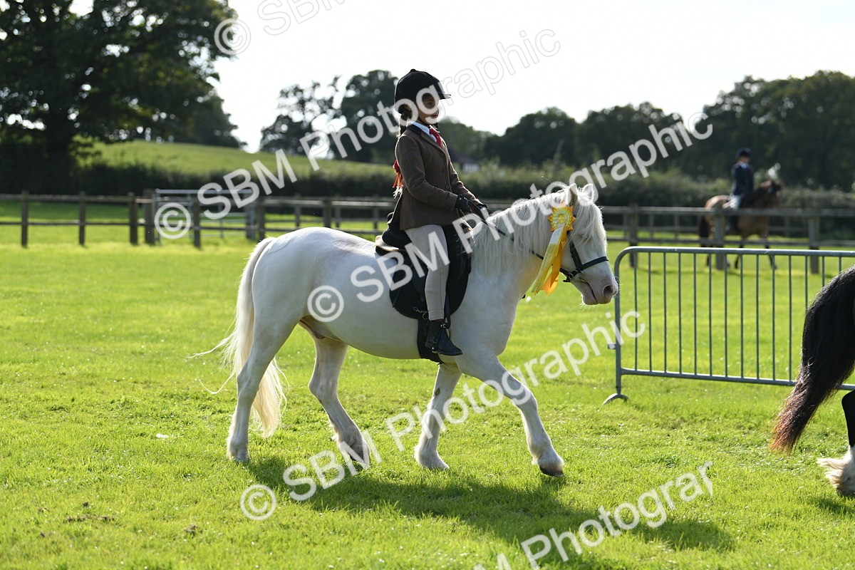 SBM_50535 - S21 - Novice & Newcomers 1st Ridden Pony