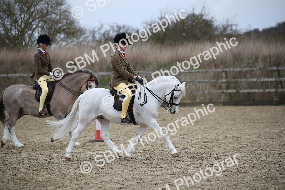SBM_005901 - Class 10-13 - RIHS Small Large Breeds