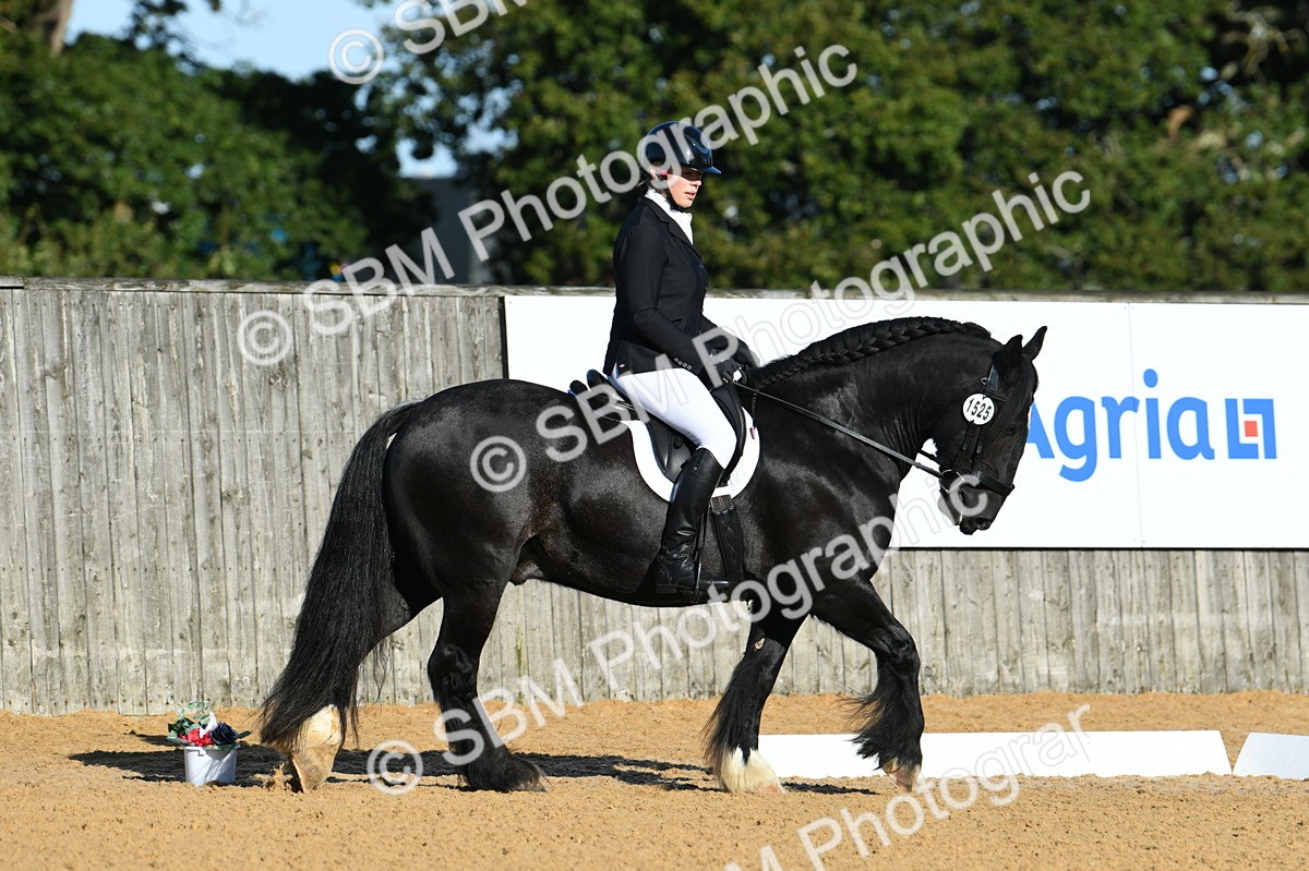 SBM_14507 - D4 - Small Tour Championship - Intro B