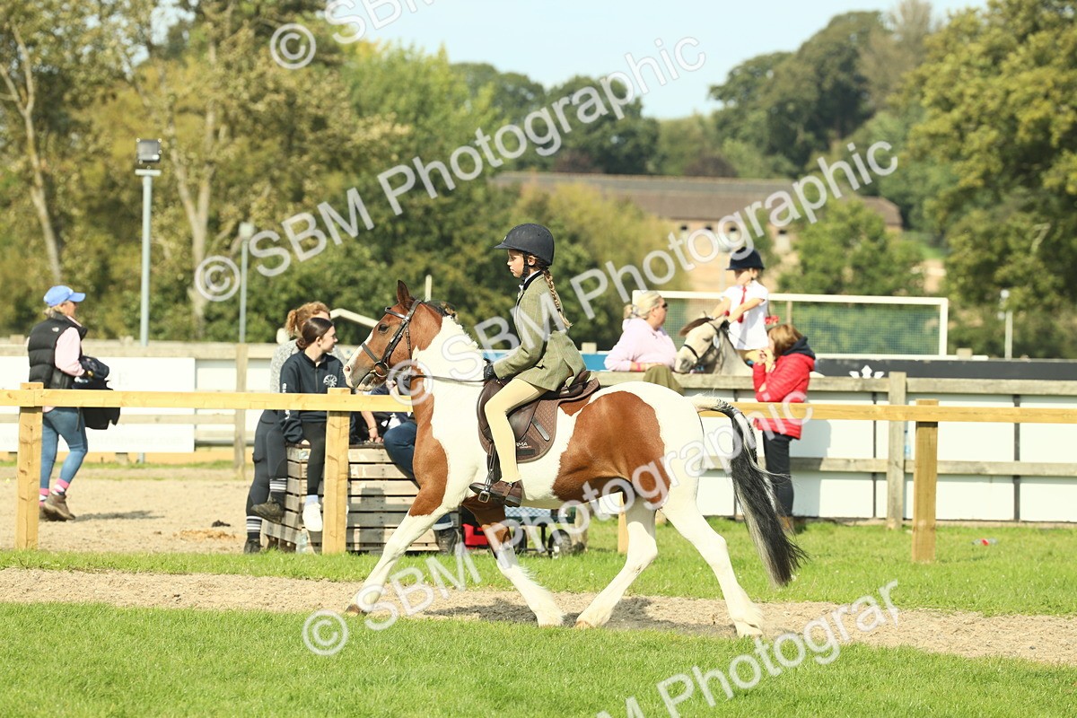 SBM_68918 - S58 - Mini Show Cob Ridden