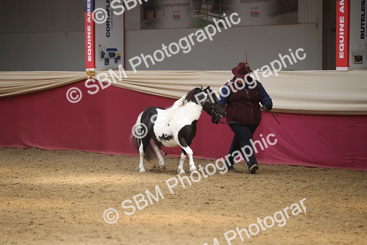 SBM_05595 - Class 9R - Regional IH Pre-Vet