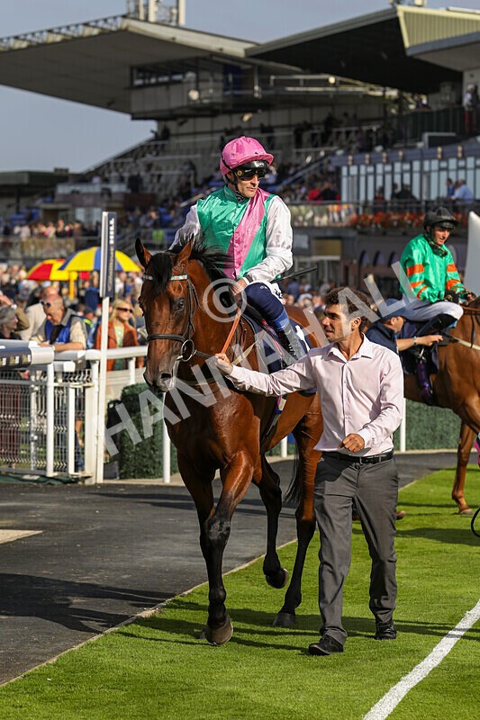 310824-Race 6-Amphius-1961 - Race 6