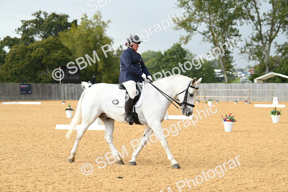 SBM_11103 - D28 Elementary Taster Elementary 42