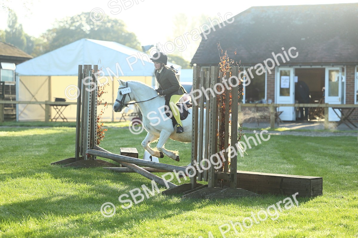 SBM_31762 - S28 - Nursery Stakes Working Hunter Pony