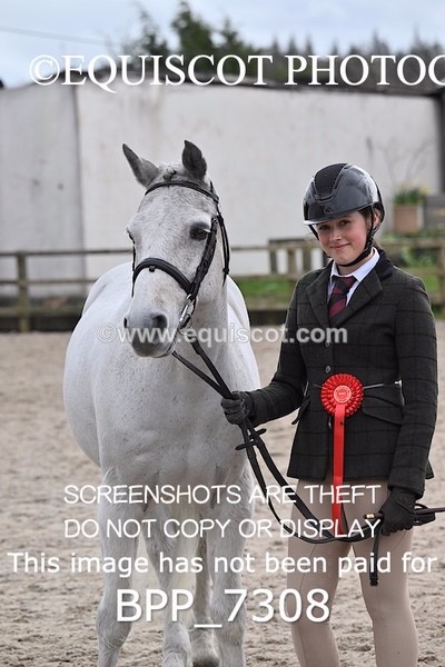 BPP_7308 - RING 1  (RIDDEN HORSES / IN HAND / VETERAN ETC)