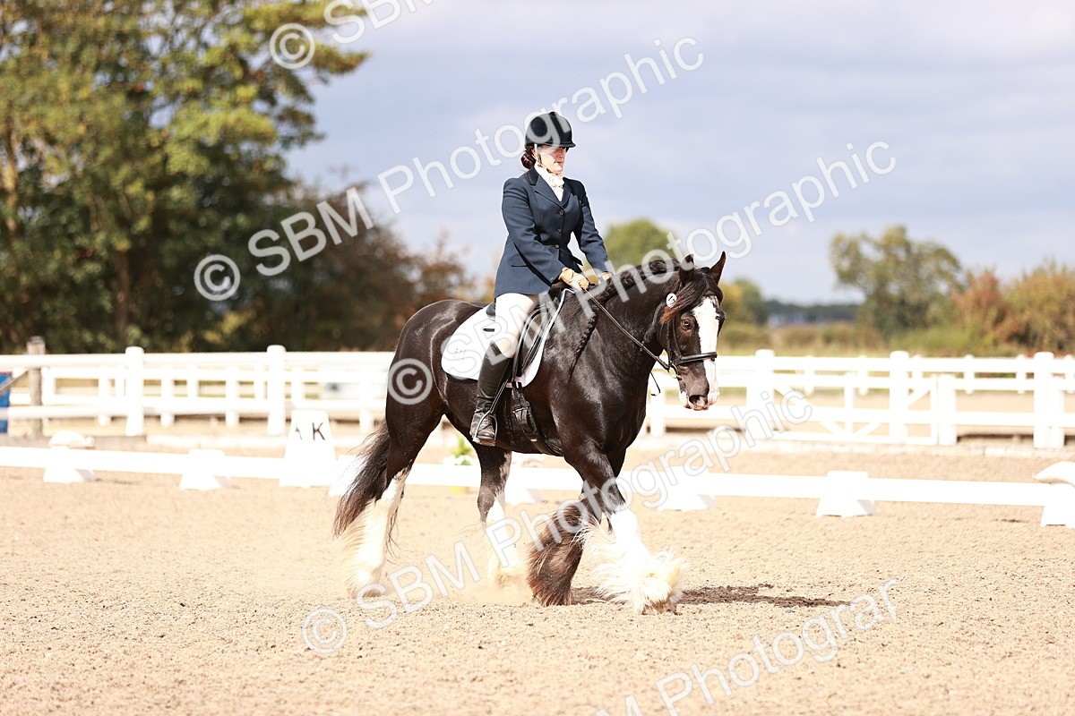 SBM_06192 - Class 37 - Novice 5