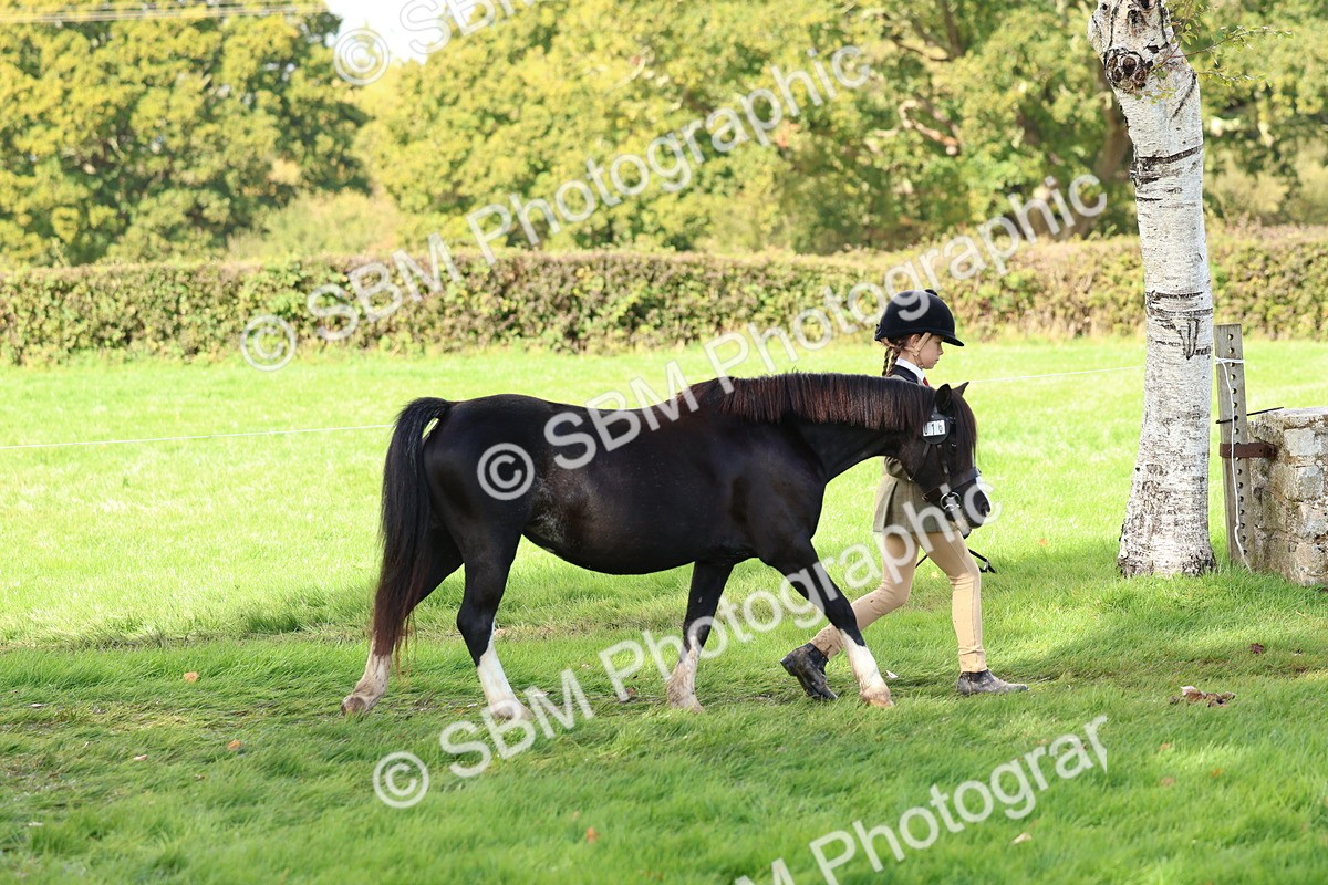 SBM_39388 - S24 - Young Veteran In Hand