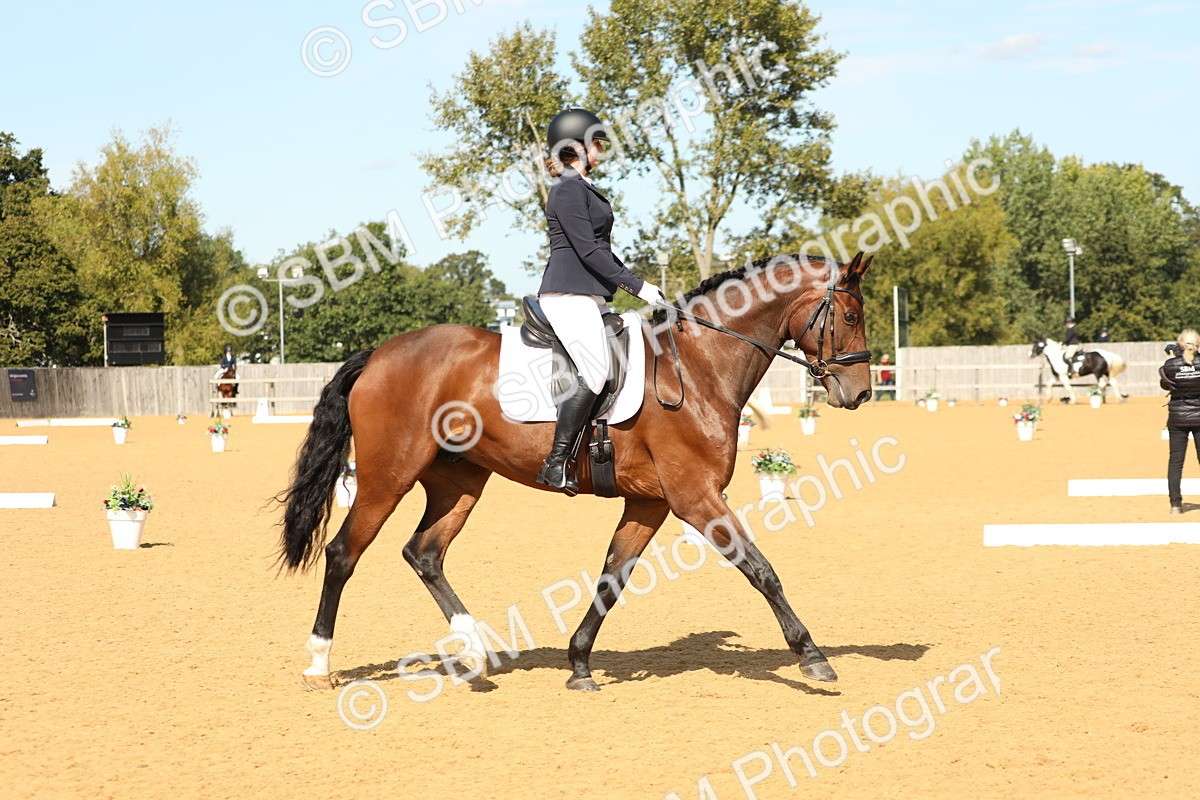 SBM_22260 - D17 - Grand Tour Championship - Novice 27