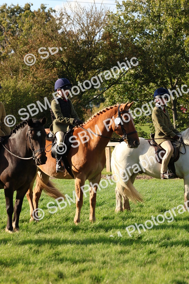 SBM_52617 - S13 - Pony Club Pony