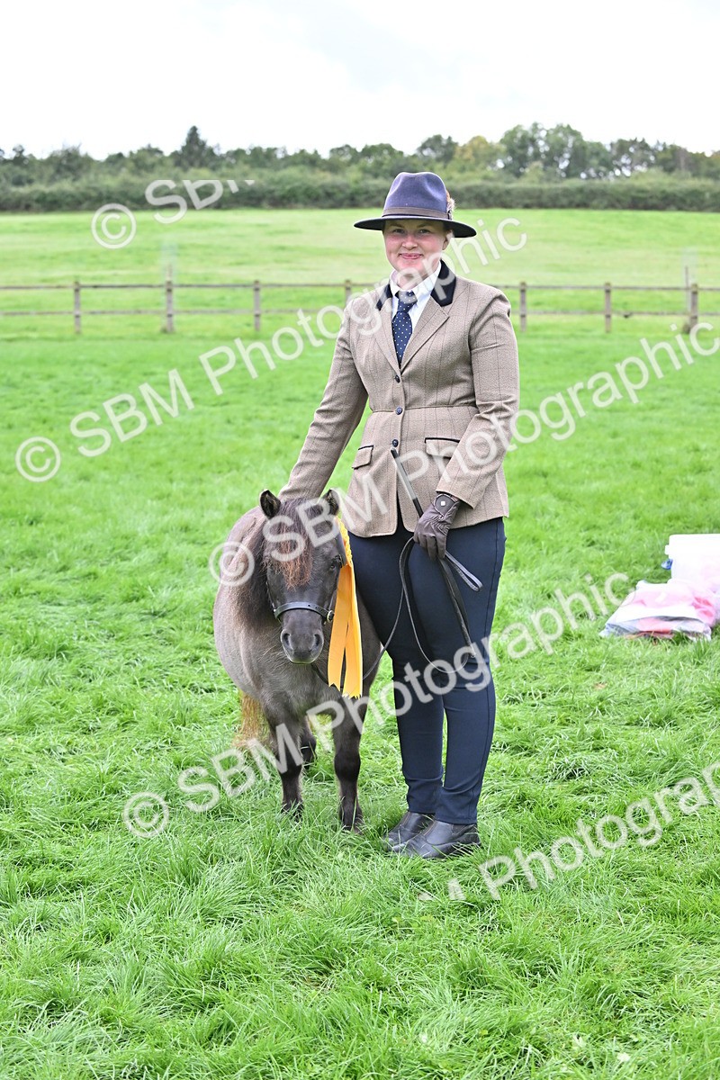 SBM_61069 - S48 - Mountain & Moorland In Hand Small Breeds