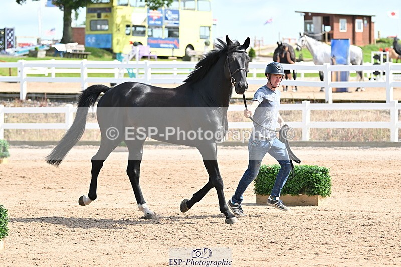 240717A-155029-03093 - Trot Up 3pm to 4pm
