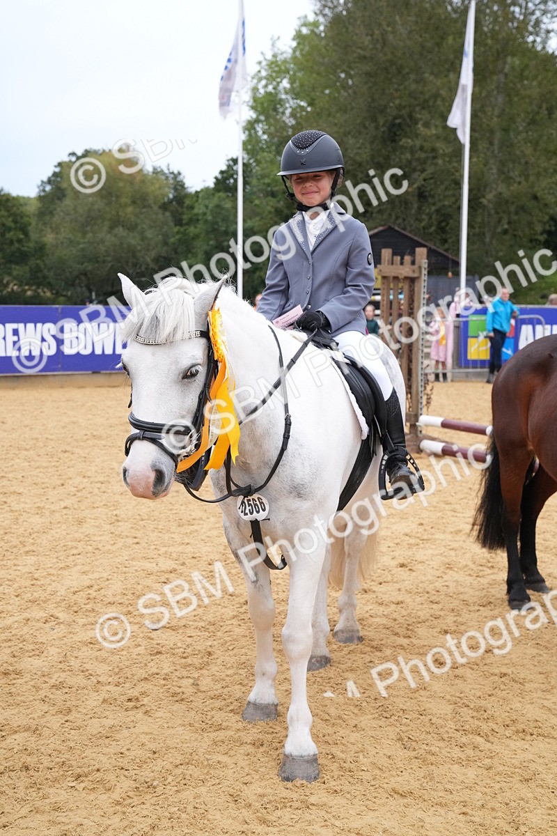 SBM_71777 - J3 - Mini Tour Junior Pony 40cm Championship