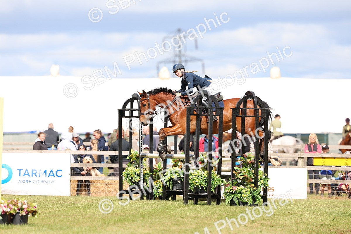 SBM_13642 - Class 206 - Senior Newcomers - 1.10m Open