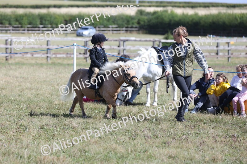 20250831-2599 - Class 17 - Lead Rein Pony
