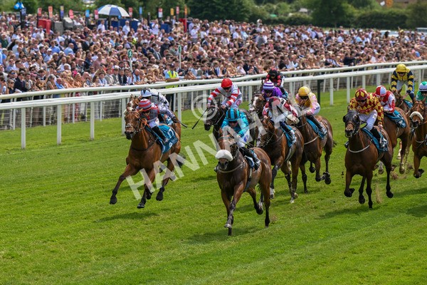 310525-Race 1-Ingleby Archie-8557 - Race 1 1.30pm William Hill Keep Your Raceday Positive Handicap