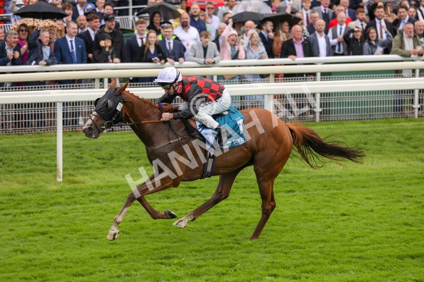 150723-Race 1-Blue For You-8757 - Race 1 2.00pm John Smith's Racing Handicap