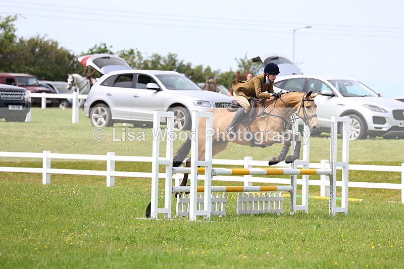 3E7A1438 - Class 13: Senior British Novice/90cm open