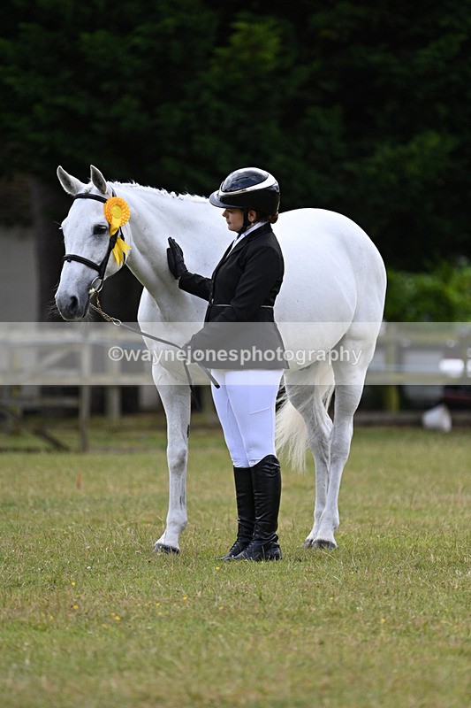WJ7_7181 - Class 5a Most Handsome Gelding in Hand
