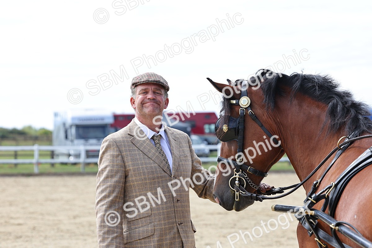 SBM_000931 - Class 8 - Novice Horse or Pony to any vehicle