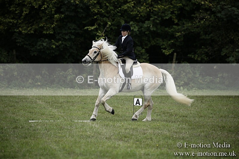 BVR090918 77 - BVRC Dressage and Show Jumping 09/09/18