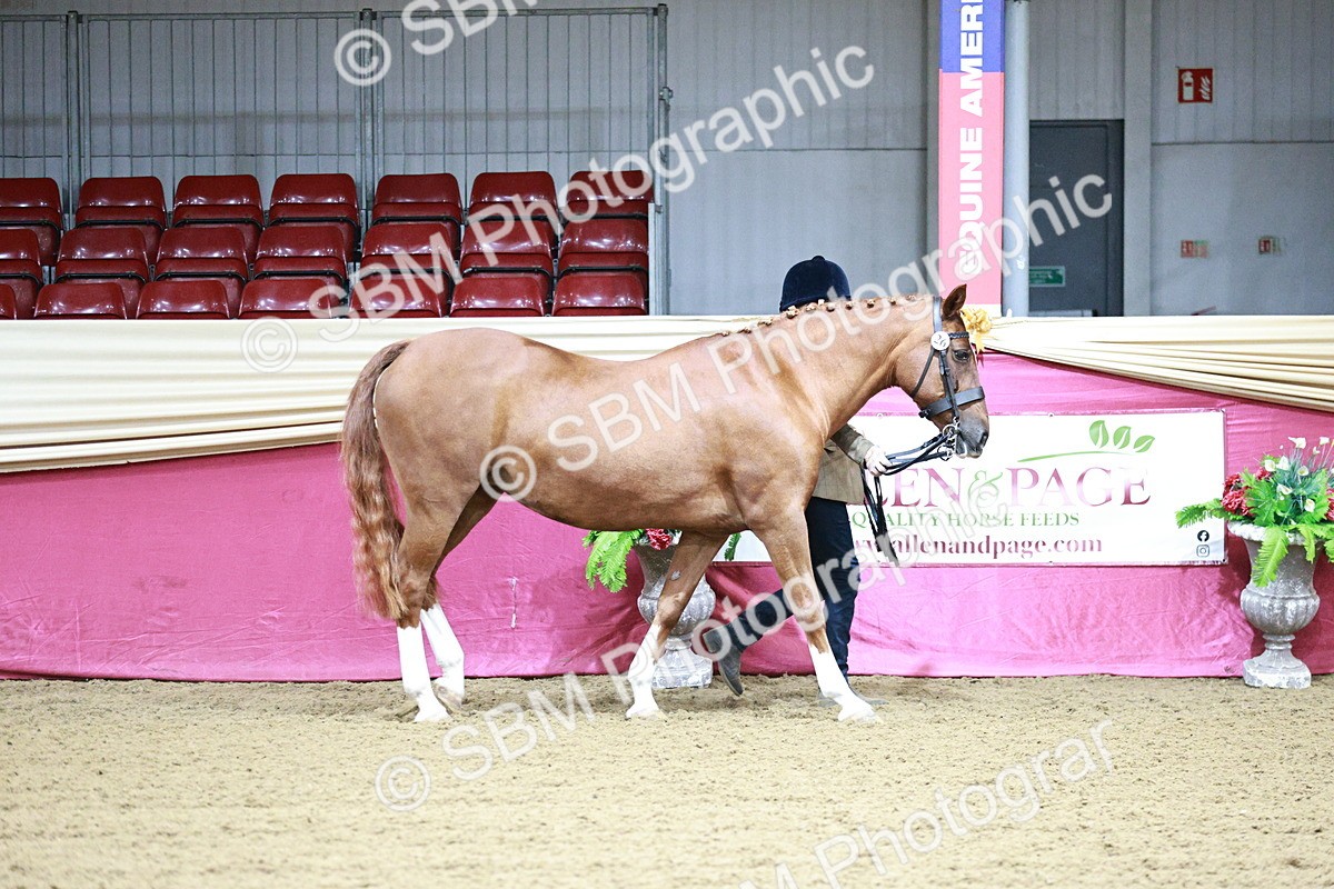 SBM_00131 - Class 1A - Area IH Diamond