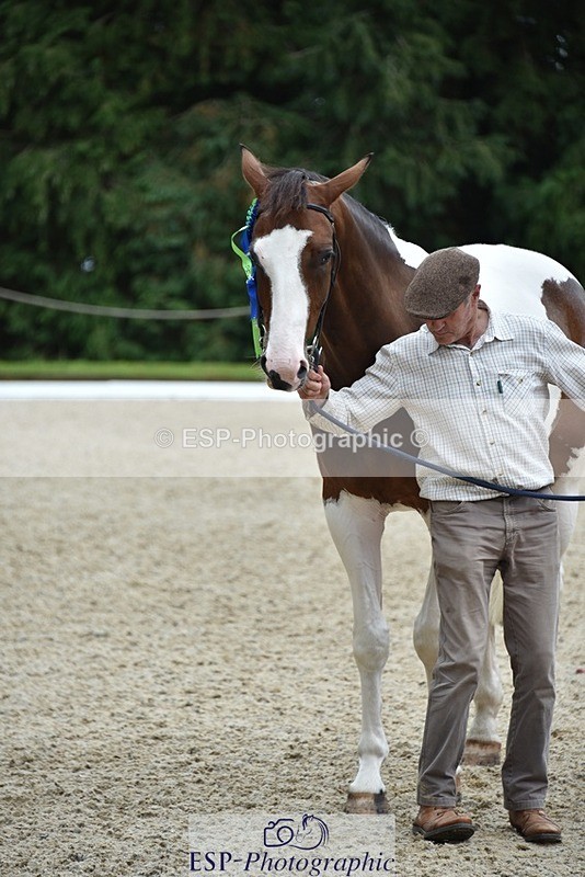 230812-144724-04855 - Novice Silver Presentations