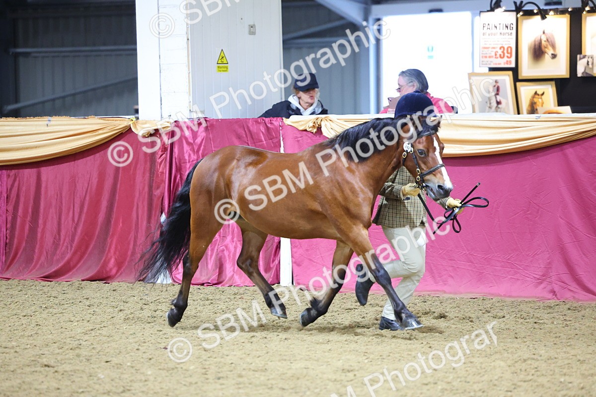 SBM_20805 - Class 902 - Supreme Final IH Veteran