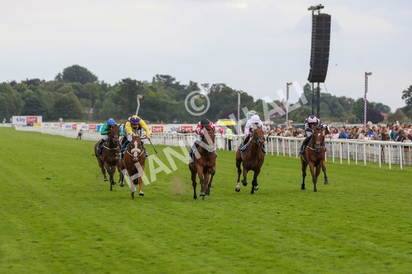 270724-Race 6-Ziggy-4787 - Race 6 5.10pm Sky Bet, For The Fans Handicap
