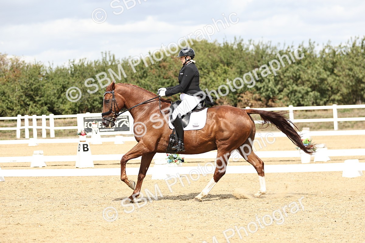 SBM_007816 - Class 26 - FEI PSG Silver