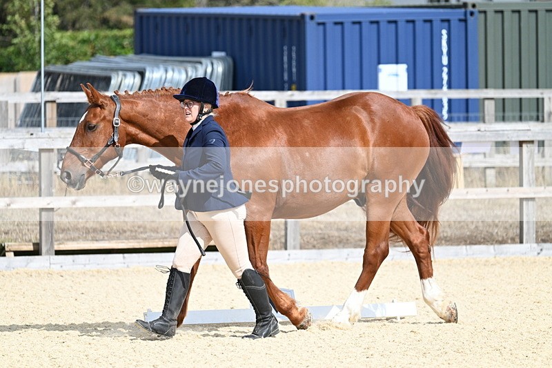 WJ7_2010 - In Hand