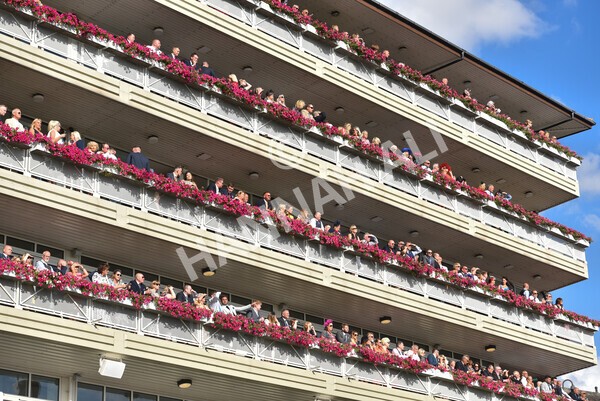 yr20082022r7-22 - Race 7 5.20pm Sky Bet Finale Stakes