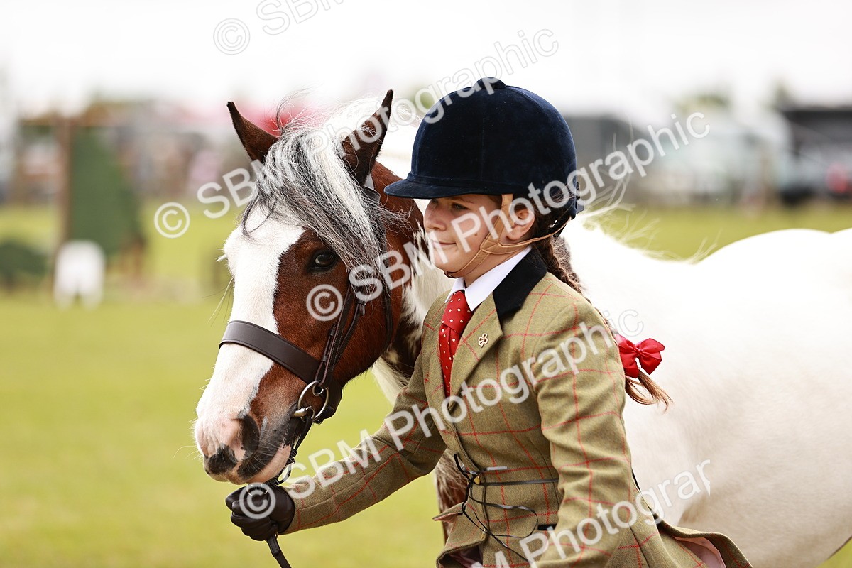 SBM_06067 - Class 39-41 TGCA In Hand and Ridden