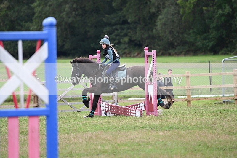 WJ6_0414 - 40cm Time 10:29 to 10:52