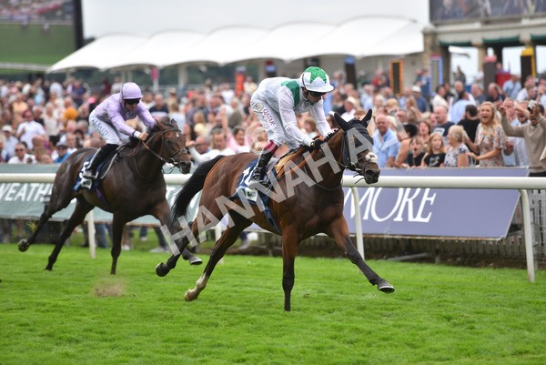 yr20082021r5-26 - Race 5 4.10pm British Stallion Studs EBF Convivial Maiden Stakes (Plus 10 Race)
