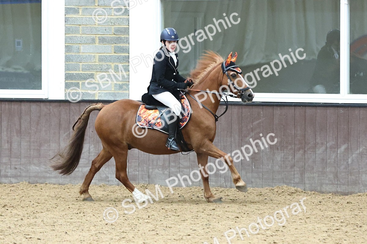 SBM_005520 - Class 7 - 70cm Open