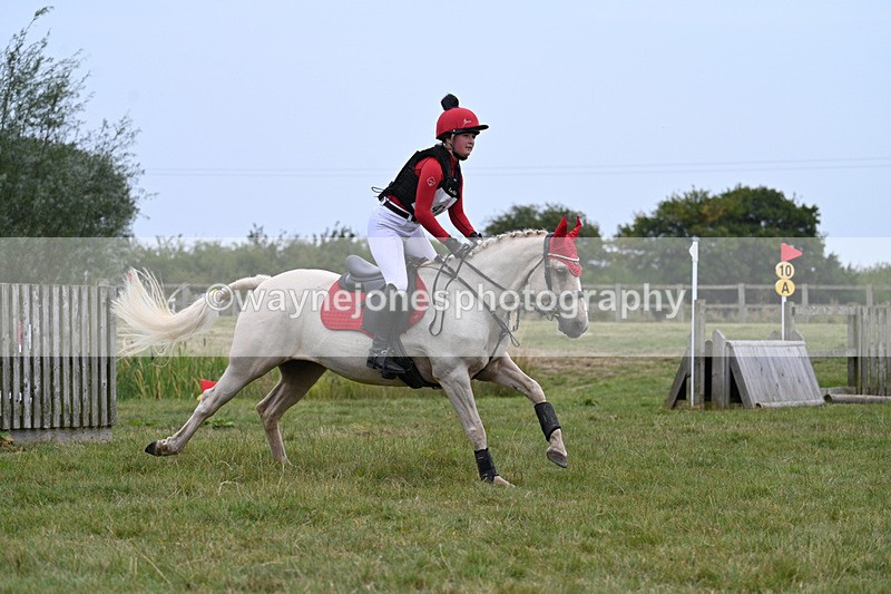 WJ7_8384 - 80cm XC Time 15:45 to 16:02