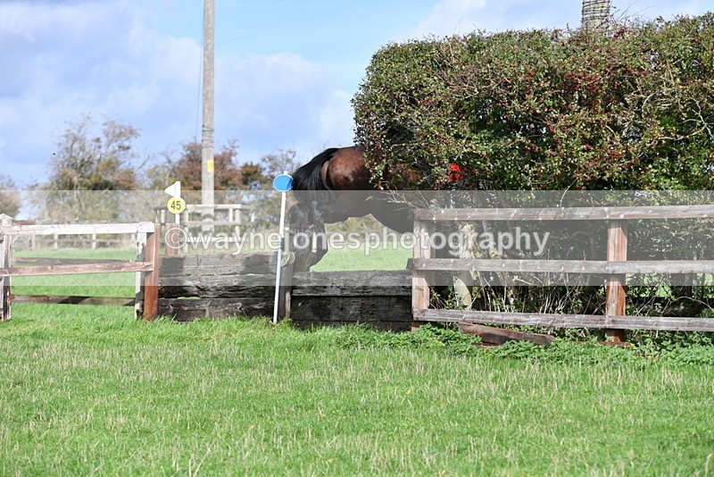 WJ5_9006 - Time 12:34 to 12:57